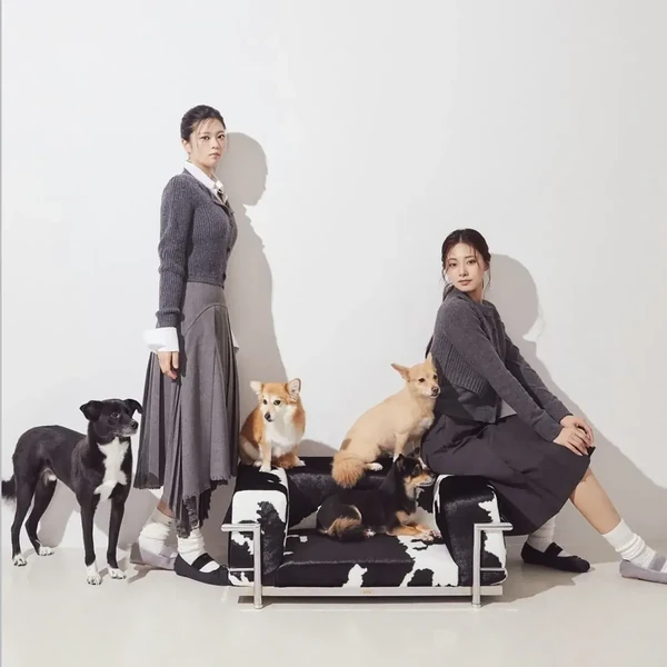 TWICE 팬심 가득한 인기 사진