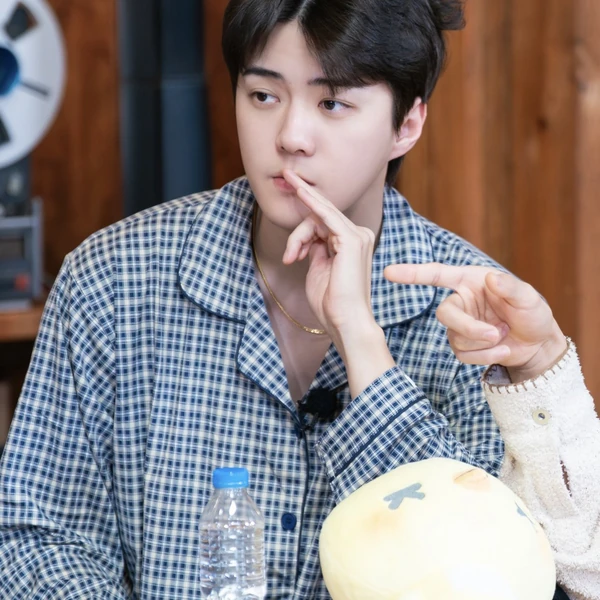 팬들이 뽑은 세훈 (EXO) 최고의 순간