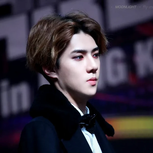 오늘 가장 사랑받은 세훈 (EXO)의 모습
