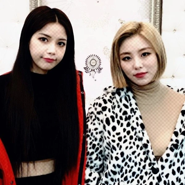 MAMAMOOへの愛が詰まった人気写真