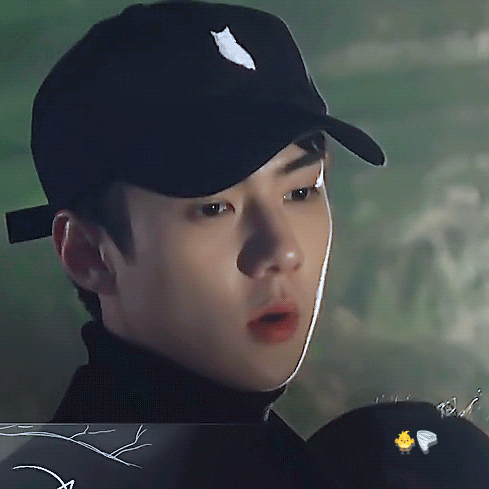 今日最受喜愛的世勳 (EXO)