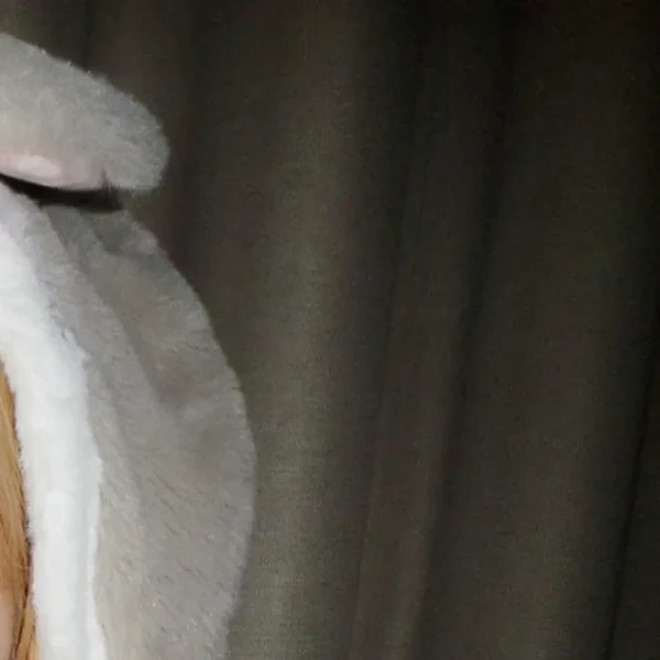 Fans' Pick: Best Moment of Stella (Hearts2Hearts)