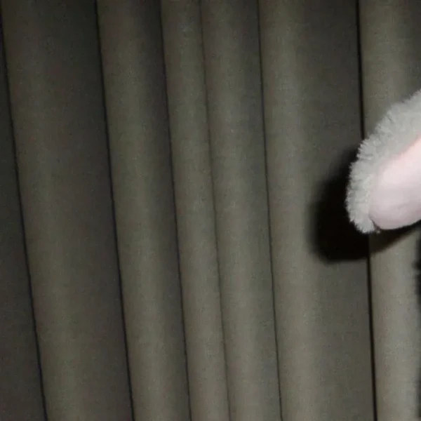 Today's Most Loved Stella (Hearts2Hearts)