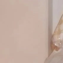 Top Photo Full of Onishi Ryusei (Naniwa Danshi) Love