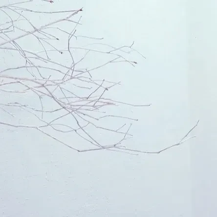 Signature photo of OH MY GIRL capturing their charm