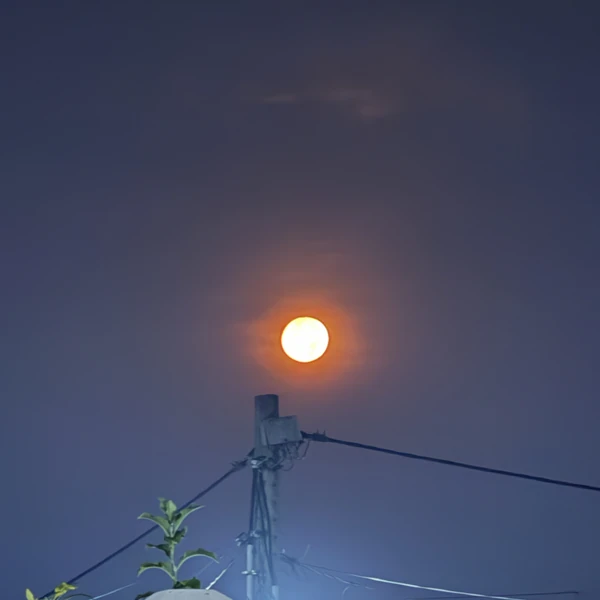 Top Photo Full of NMIXX Love