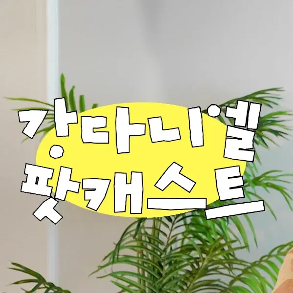 Signature photo of Kang Daniel capturing their charm