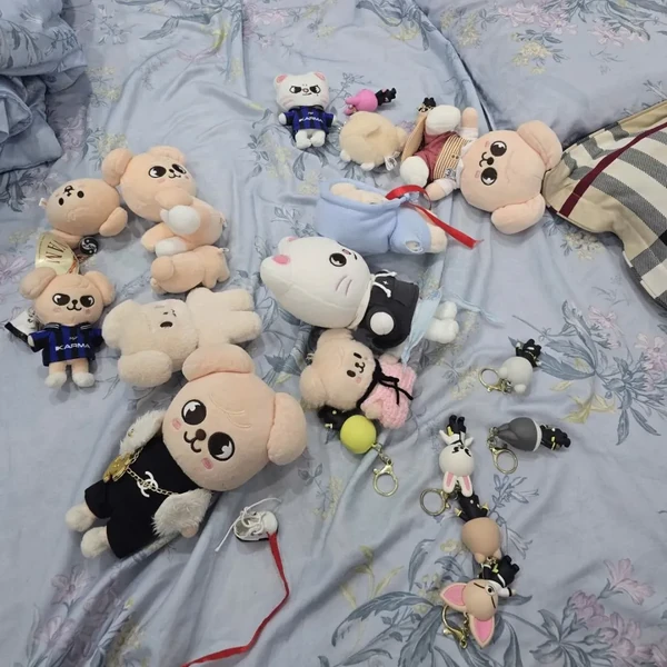 Stray Kids 팬심 가득한 인기 사진