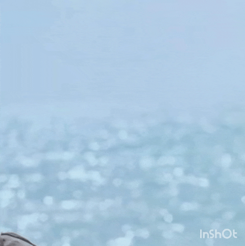 Top Photo Full of Eunhyuk (Super Junior) Love