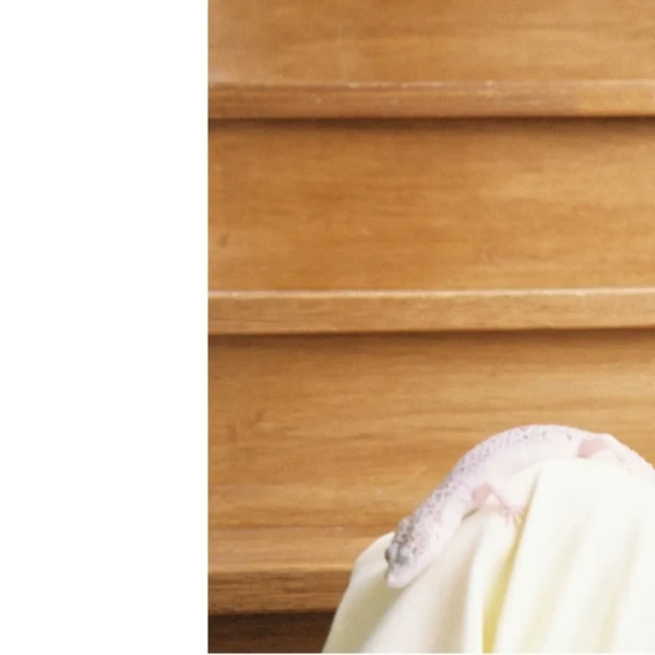 充滿粉絲愛意的Iroha (ILLIT)人氣照片