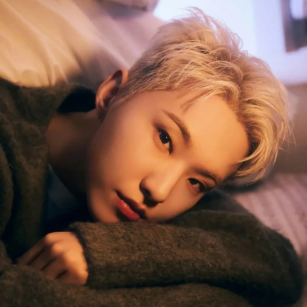 充满粉丝爱意的Hoshi (SEVENTEEN)人气照片