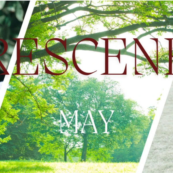 今日最受喜愛的May (RESCENE)