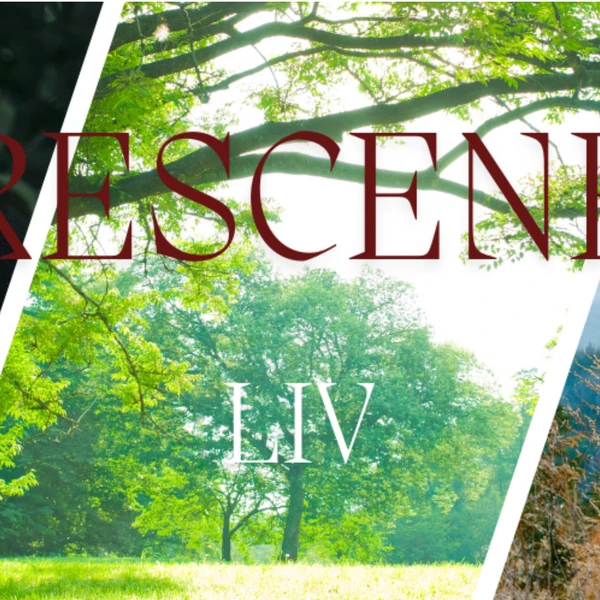 Fans' Pick: Best Moment of Liv (RESCENE)