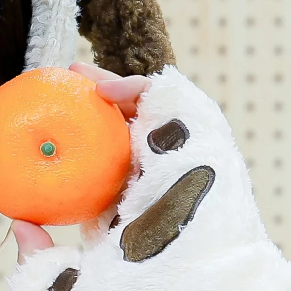 Fans' Pick: Best Moment of Hangyul (POLARIX)