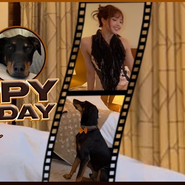 粉丝票选的Lisa (BLACKPINK)最佳瞬间