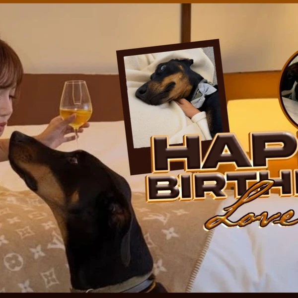 充满粉丝爱意的Lisa (BLACKPINK)人气照片