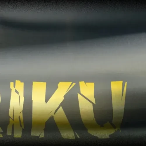 팬들이 뽑은 리쿠 (NiziU) 최고의 순간