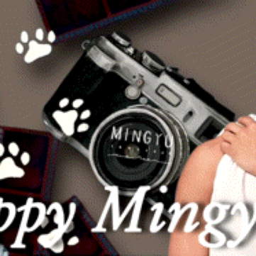 Fans' Pick: Best Moment of Mingyu (SEVENTEEN)