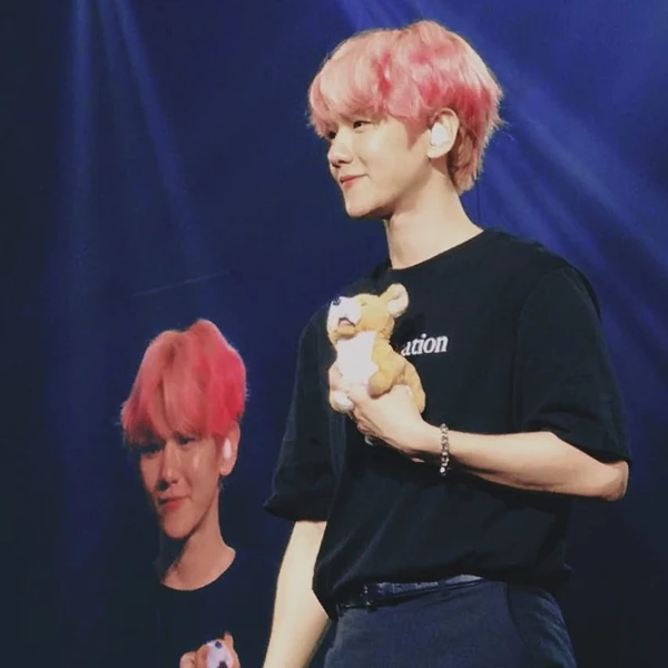 充滿粉絲愛意的伯賢 (EXO)人氣照片