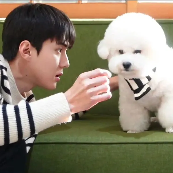 오늘 가장 사랑받은 세훈 (EXO)의 모습