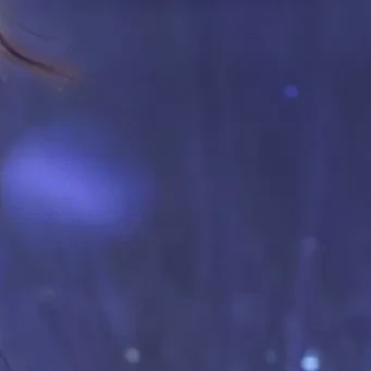 Today's Most Loved Seowon (UNIS)