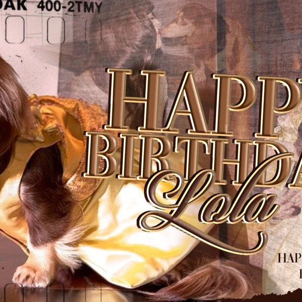 리사 (BLACKPINK) 팬심 가득한 인기 사진