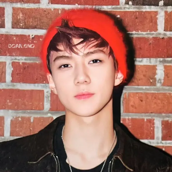 今日最も愛されたセフン (EXO)の姿