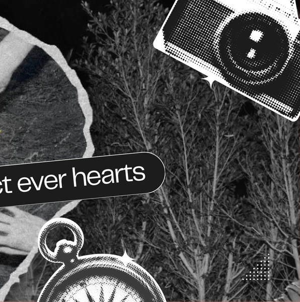 팬들이 뽑은 ENHYPEN 최고의 순간