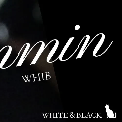 Fans' Pick: Best Moment of Kim Junmin (WHIB)