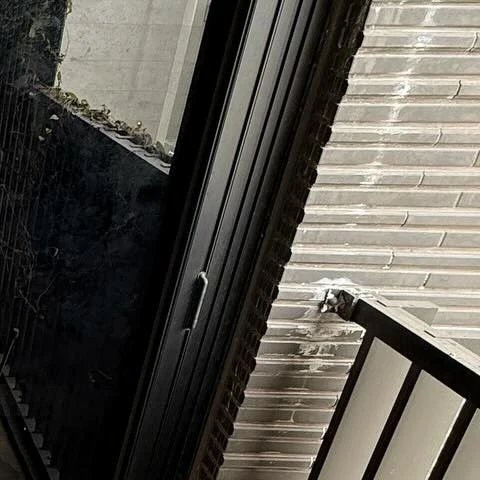 Today's Most Loved Solar (MAMAMOO)