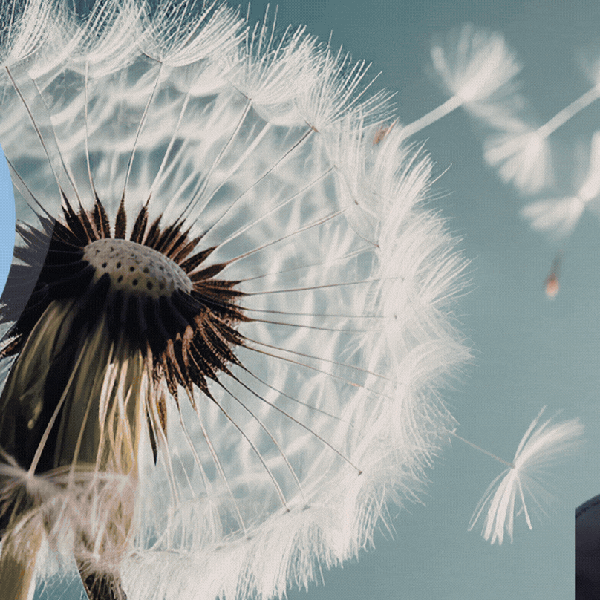 Top Photo Full of Moonbin (ASTRO) Love