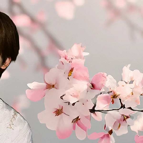 Today's Most Loved Fuma (&TEAM)