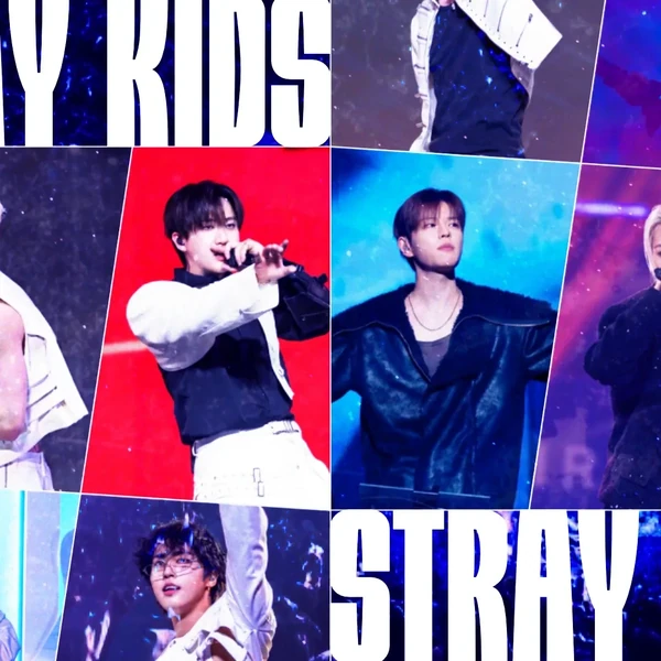 팬들이 뽑은 Stray Kids 최고의 순간