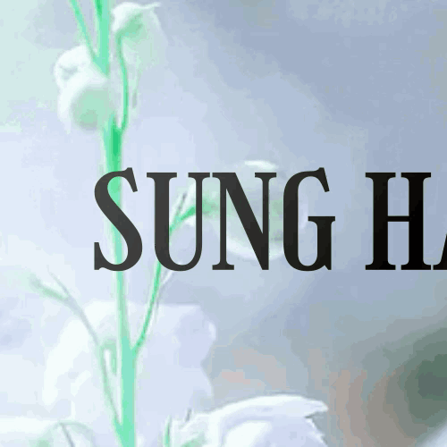 Sung Hanbin (ZEROBASEONE)