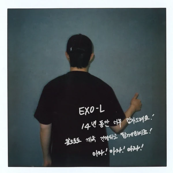 粉絲票選的D.O. (EXO)最佳瞬間