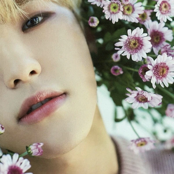 充满粉丝爱意的Hoshi (SEVENTEEN)人气照片