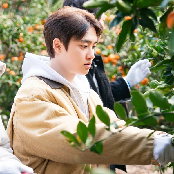 팬들이 뽑은 디오 (EXO) 최고의 순간