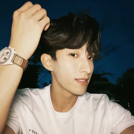 今日最受喜愛的DK (SEVENTEEN)