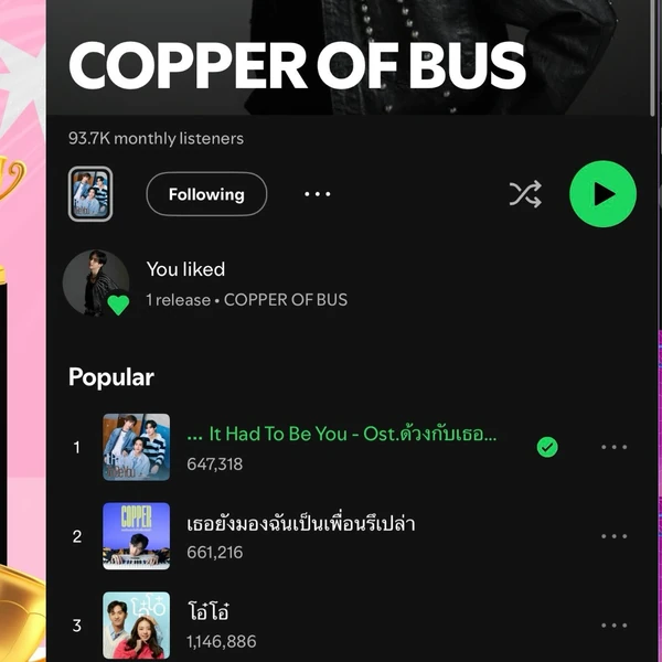 Top Photo Full of Copper (BUS) Love