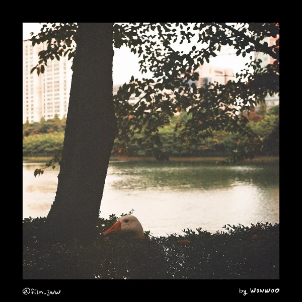 Fans' Pick: Best Moment of Wonwoo (SEVENTEEN)