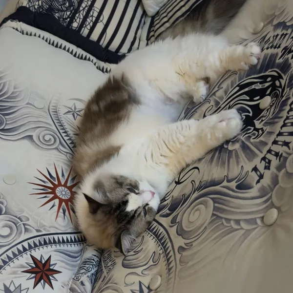 Today's Most Loved Jaemin (NCT DREAM)