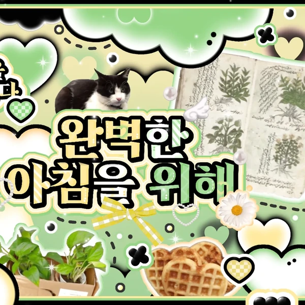 투모로우바이투게더 팬심 가득한 인기 사진