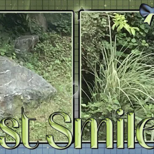 Today's Most Loved Lua