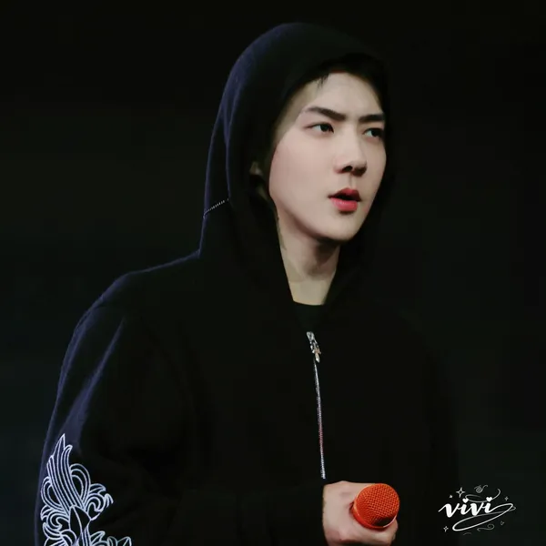 Today's Most Loved Sehun (EXO)