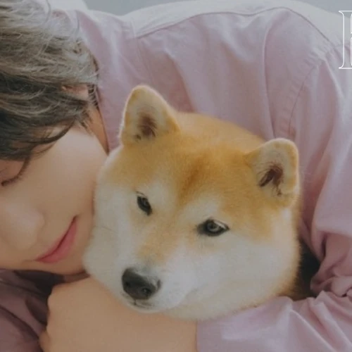 充满粉丝爱意的Taki (&TEAM)人气照片