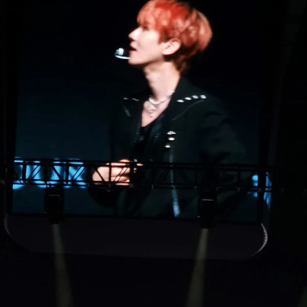 充滿粉絲愛意的伯賢 (EXO)人氣照片