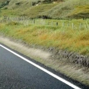 粉丝票选的颂乐 (MAMAMOO)最佳瞬间