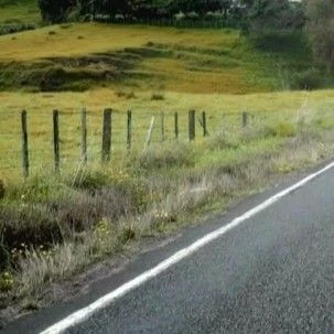 粉丝票选的颂乐 (MAMAMOO)最佳瞬间