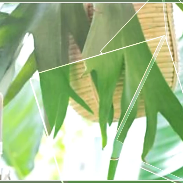 Top Photo Full of Yuju (GFRIEND) Love