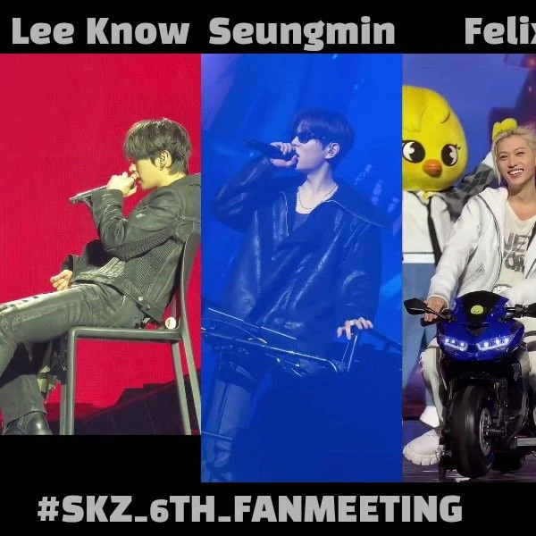 Stray Kids 팬심 가득한 인기 사진